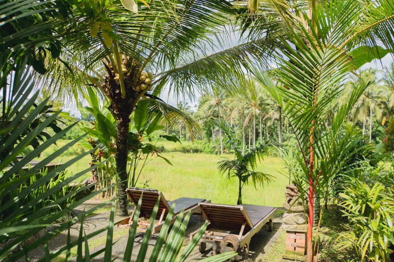 Mancur Guesthouse Ubud Exterior foto