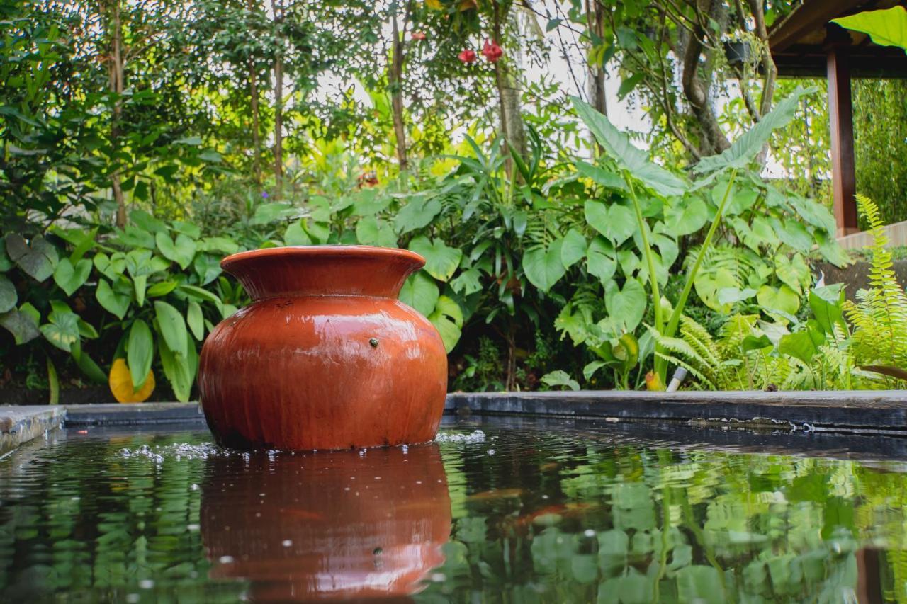 Mancur Guesthouse Ubud Exterior foto